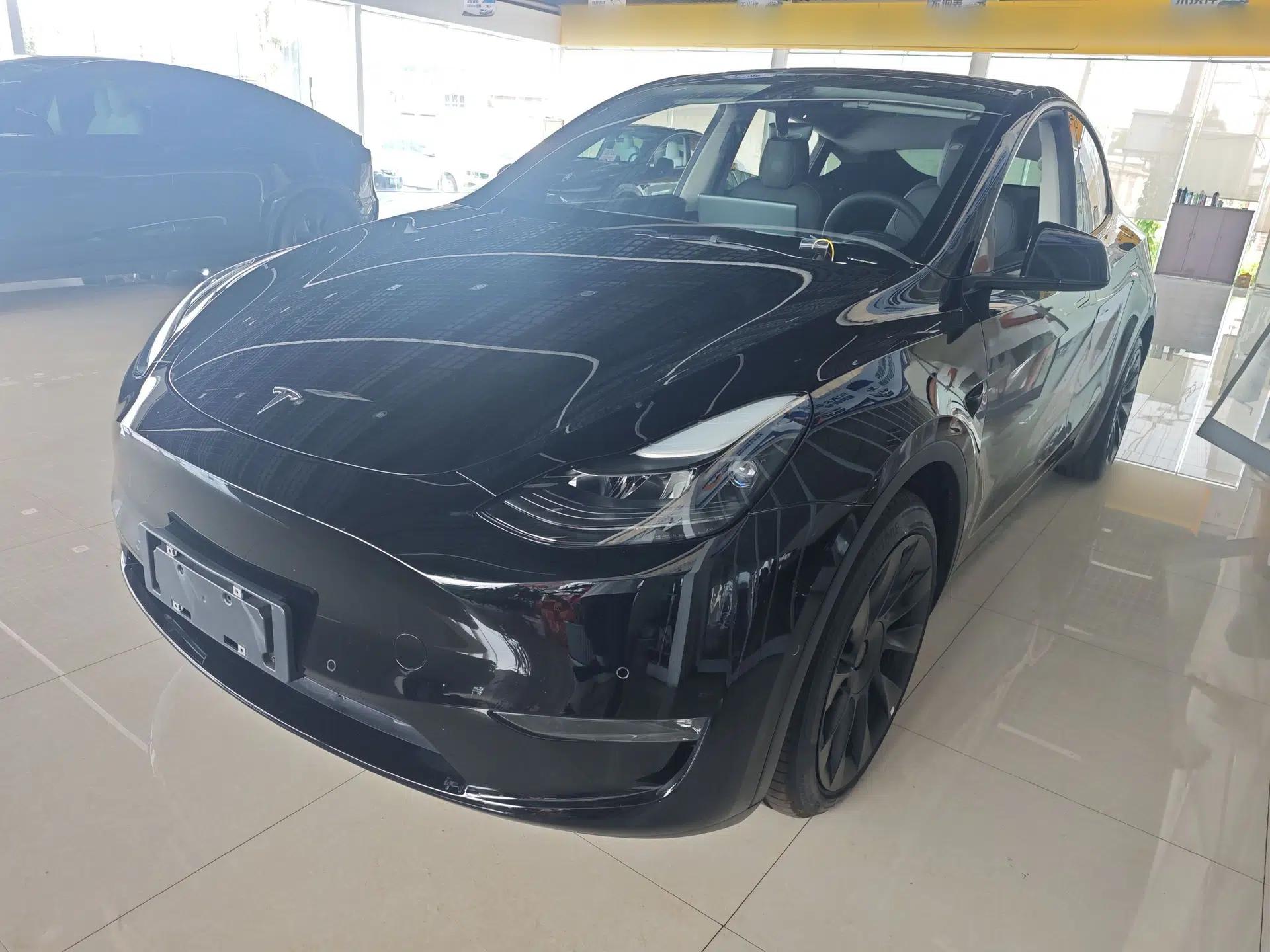 Tesla Model Y 2021 Standard Range Rear-Wheel Drive Version — миниатюра 1