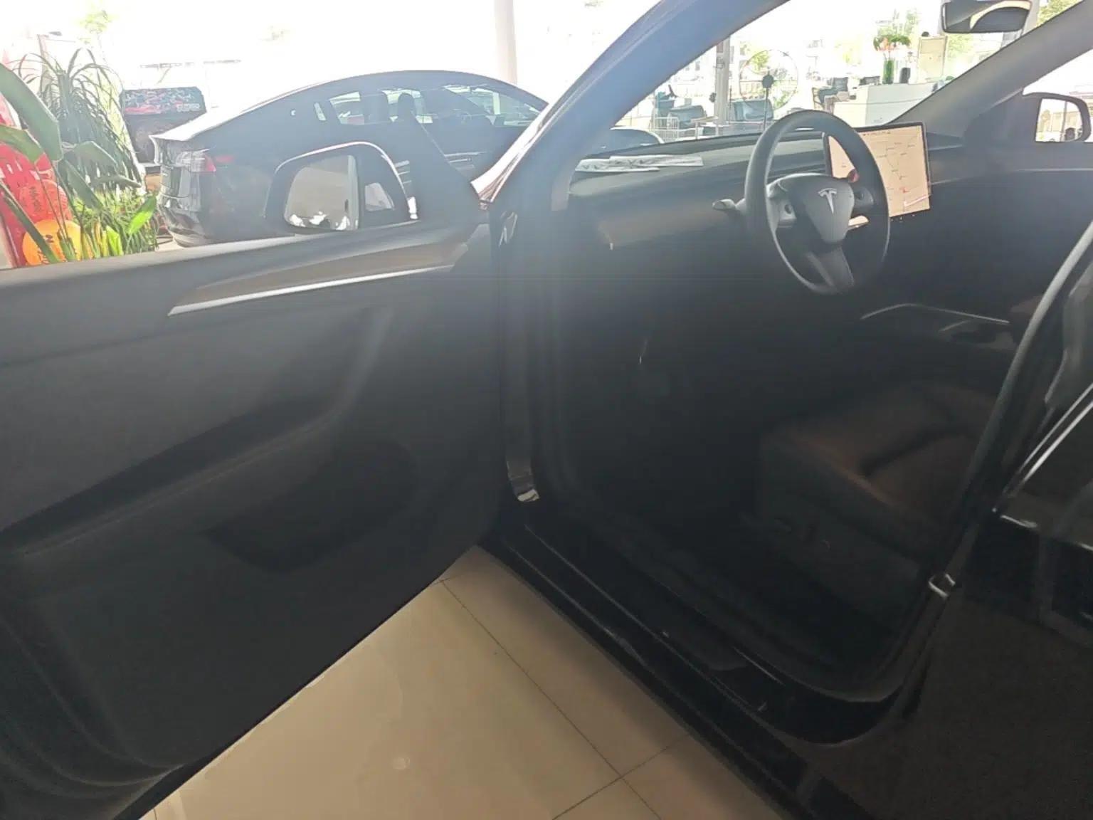 Tesla Model Y 2021 Standard Range Rear-Wheel Drive Version — миниатюра 18