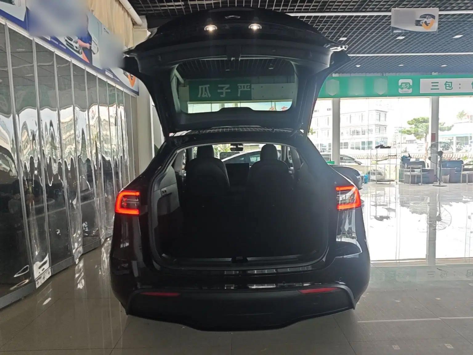 Tesla Model Y 2021 Standard Range Rear-Wheel Drive Version — миниатюра 22
