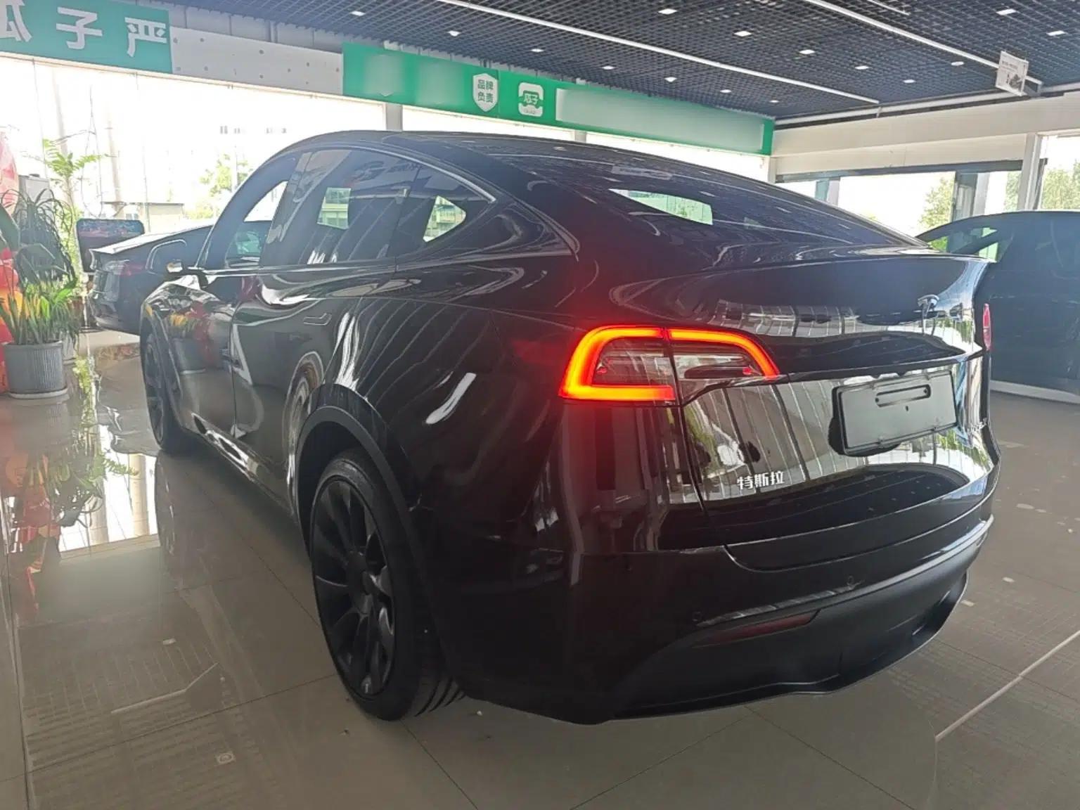 Tesla Model Y 2021 Standard Range Rear-Wheel Drive Version — миниатюра 4