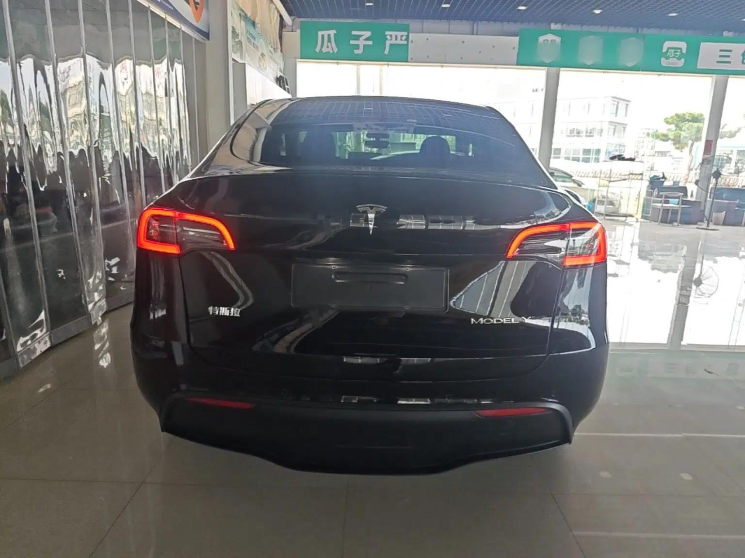 Tesla Model Y 2021 Standard Range Rear-Wheel Drive Version — миниатюра 5