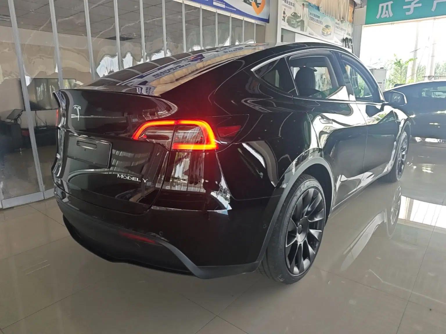 Tesla Model Y 2021 Standard Range Rear-Wheel Drive Version — миниатюра 6