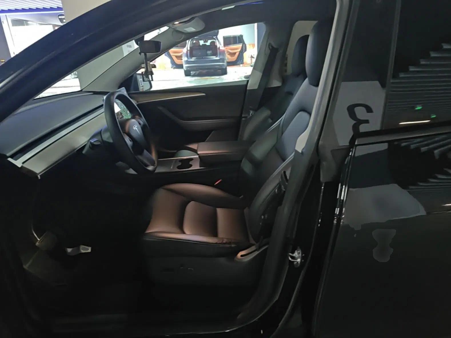 Tesla Model Y 2021 Standard Range Rear-Wheel Drive Version — миниатюра 22