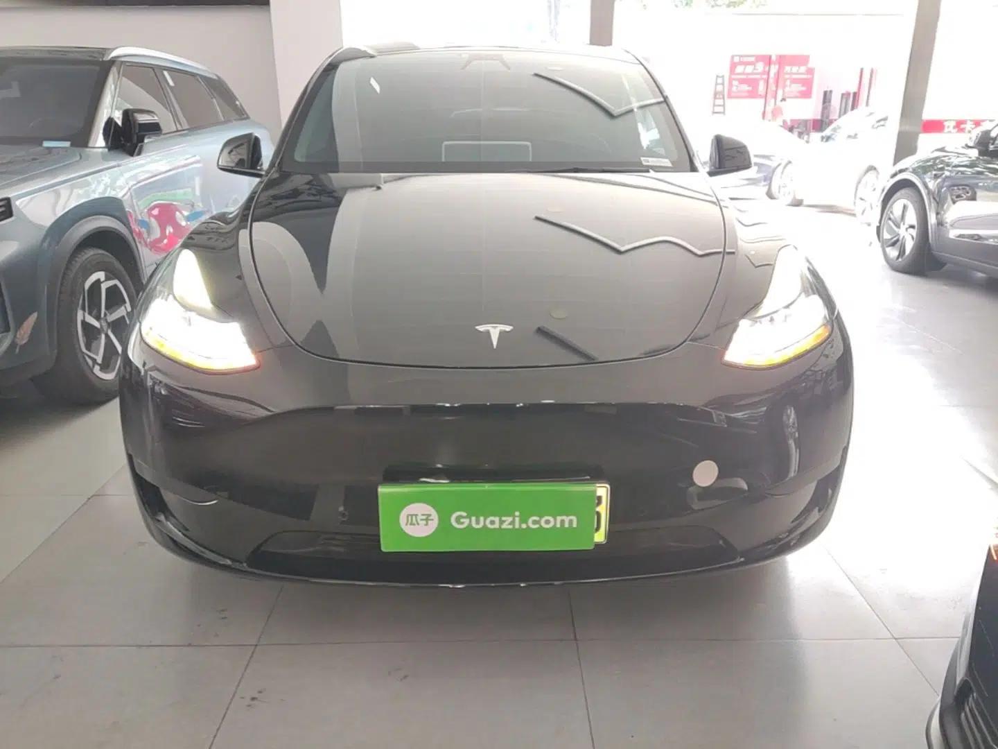 Tesla Model Y 2021 Standard Range Rear-Wheel Drive Version — миниатюра 2