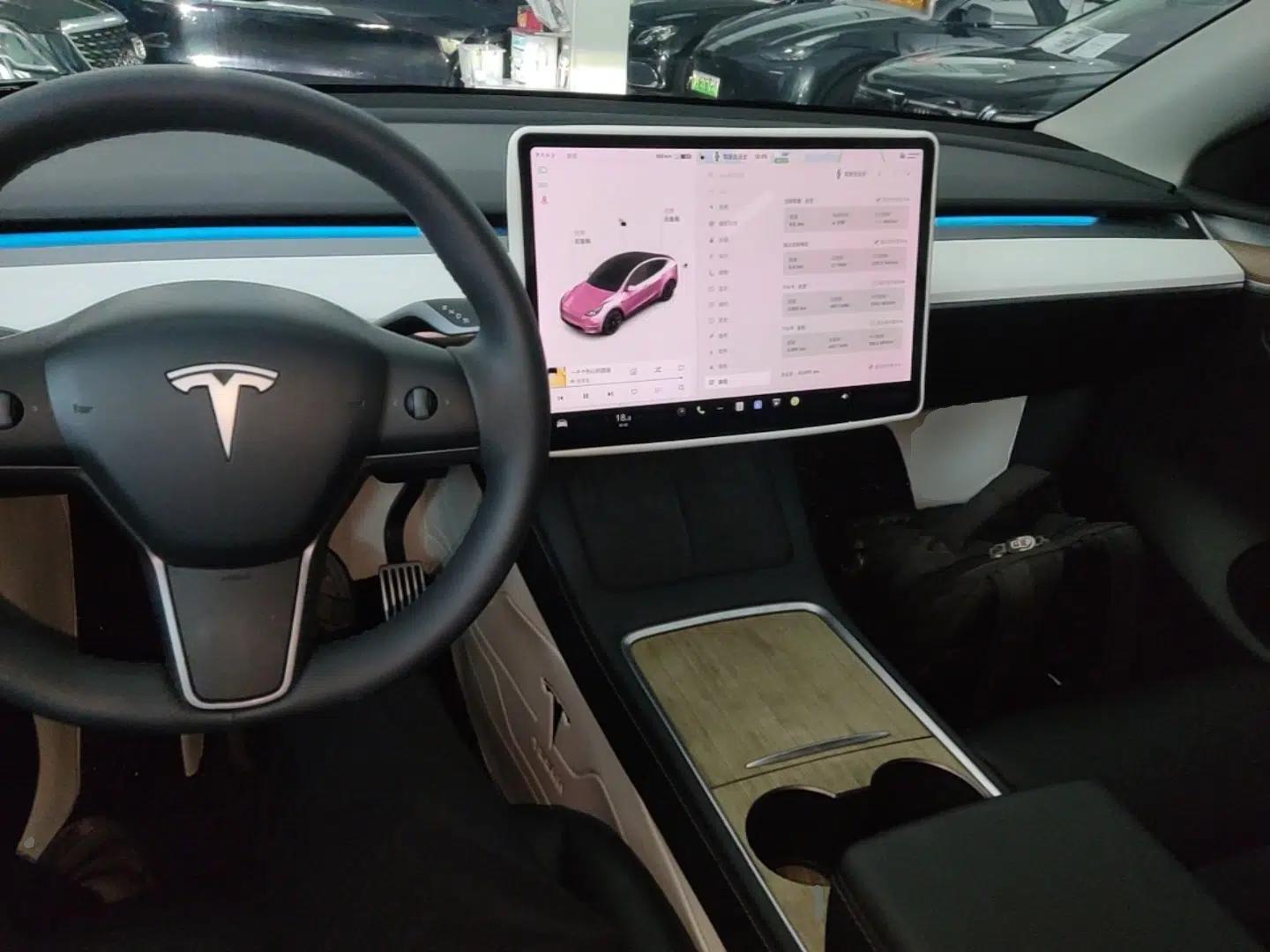 Tesla Model Y 2021 Standard Range Rear-Wheel Drive Version — миниатюра 12