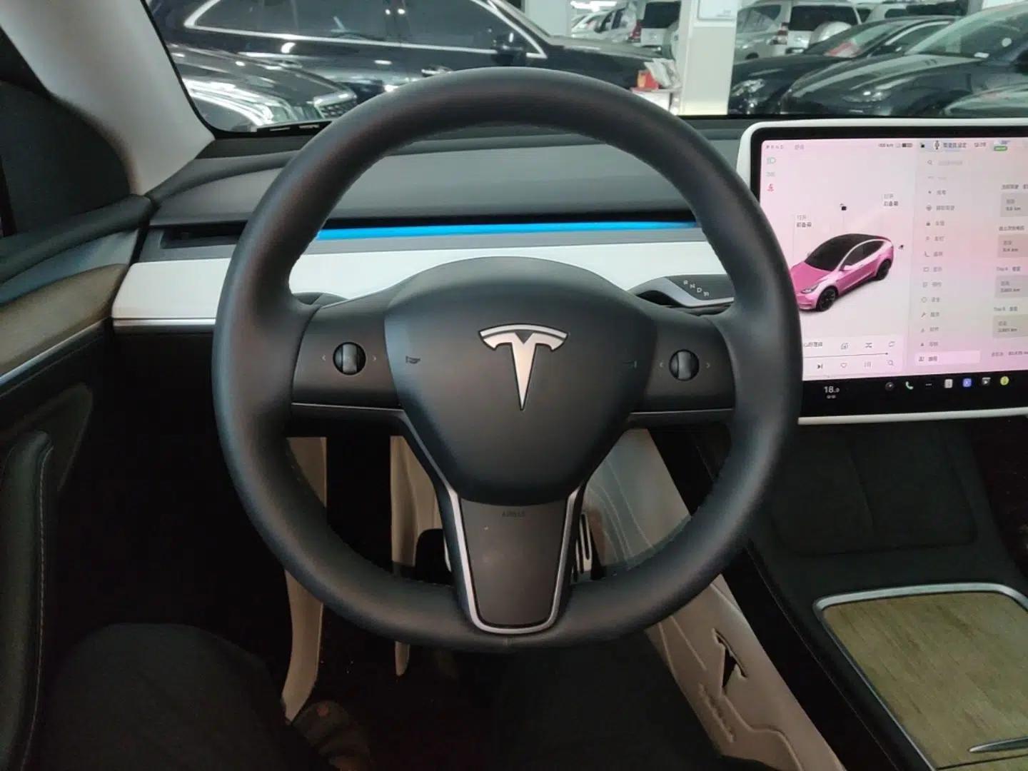 Tesla Model Y 2021 Standard Range Rear-Wheel Drive Version — миниатюра 13