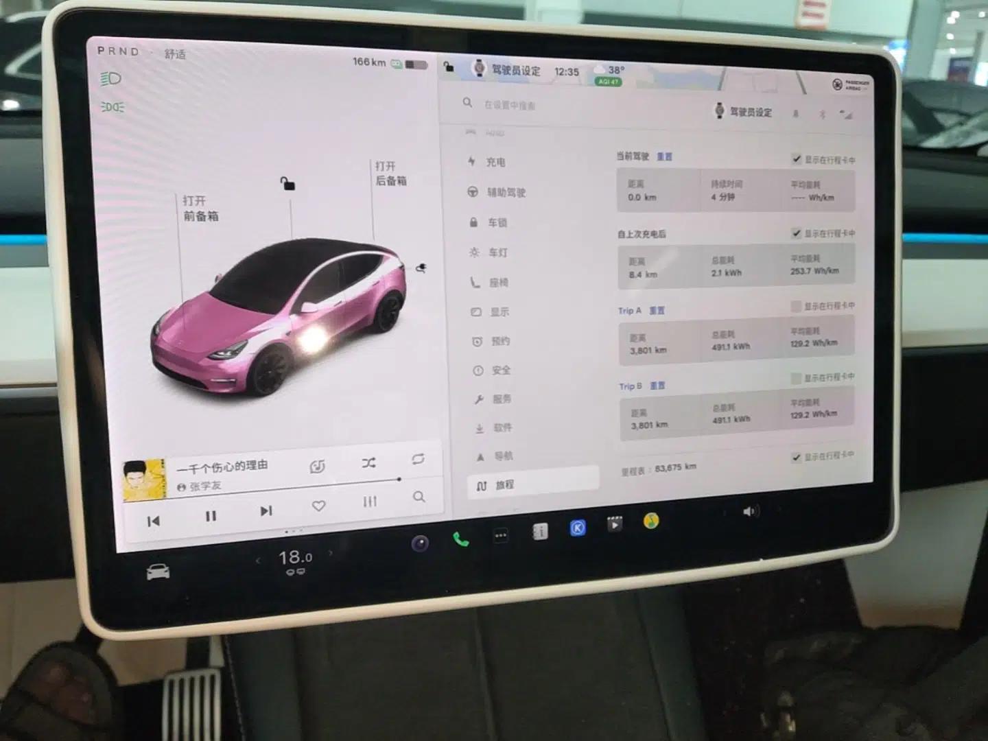 Tesla Model Y 2021 Standard Range Rear-Wheel Drive Version — миниатюра 14