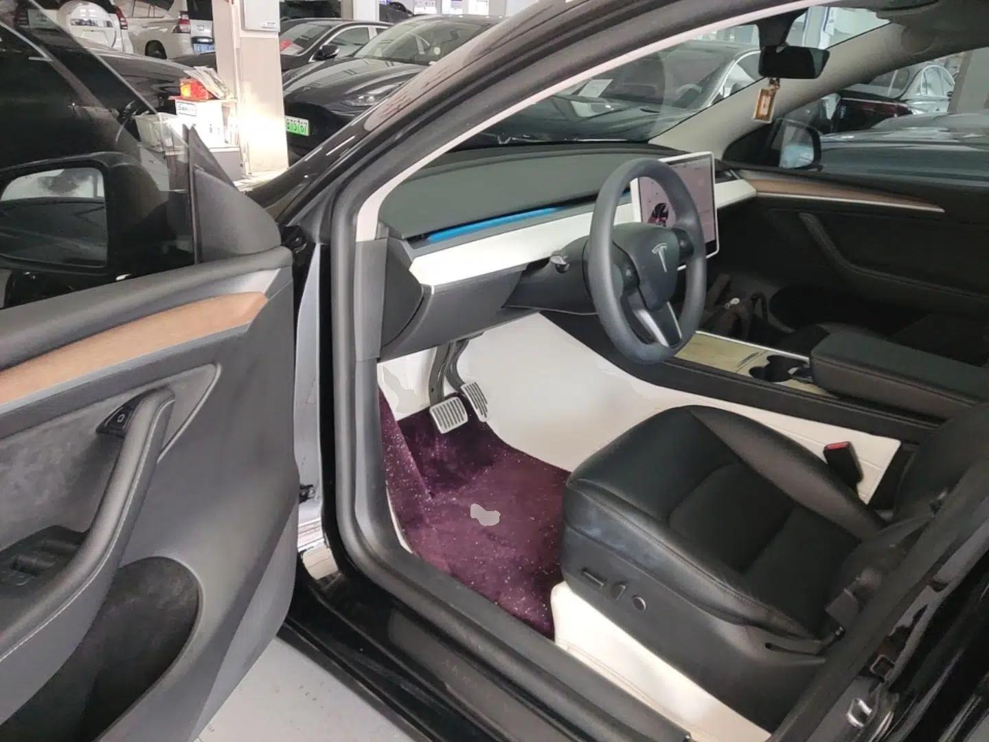 Tesla Model Y 2021 Standard Range Rear-Wheel Drive Version — миниатюра 18