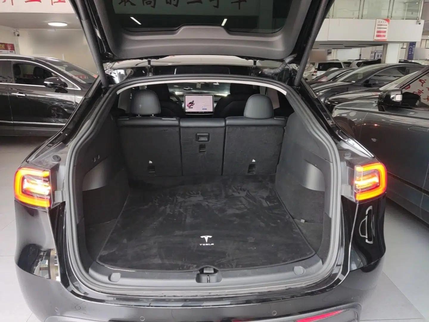 Tesla Model Y 2021 Standard Range Rear-Wheel Drive Version — миниатюра 22