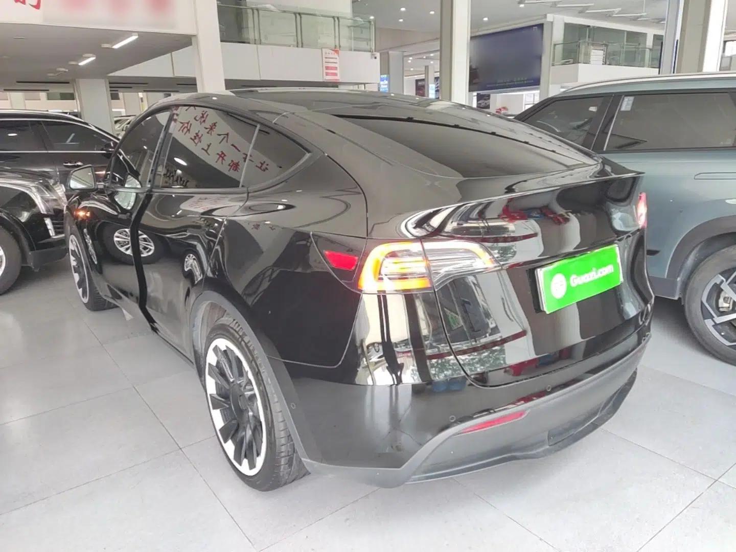 Tesla Model Y 2021 Standard Range Rear-Wheel Drive Version — миниатюра 4