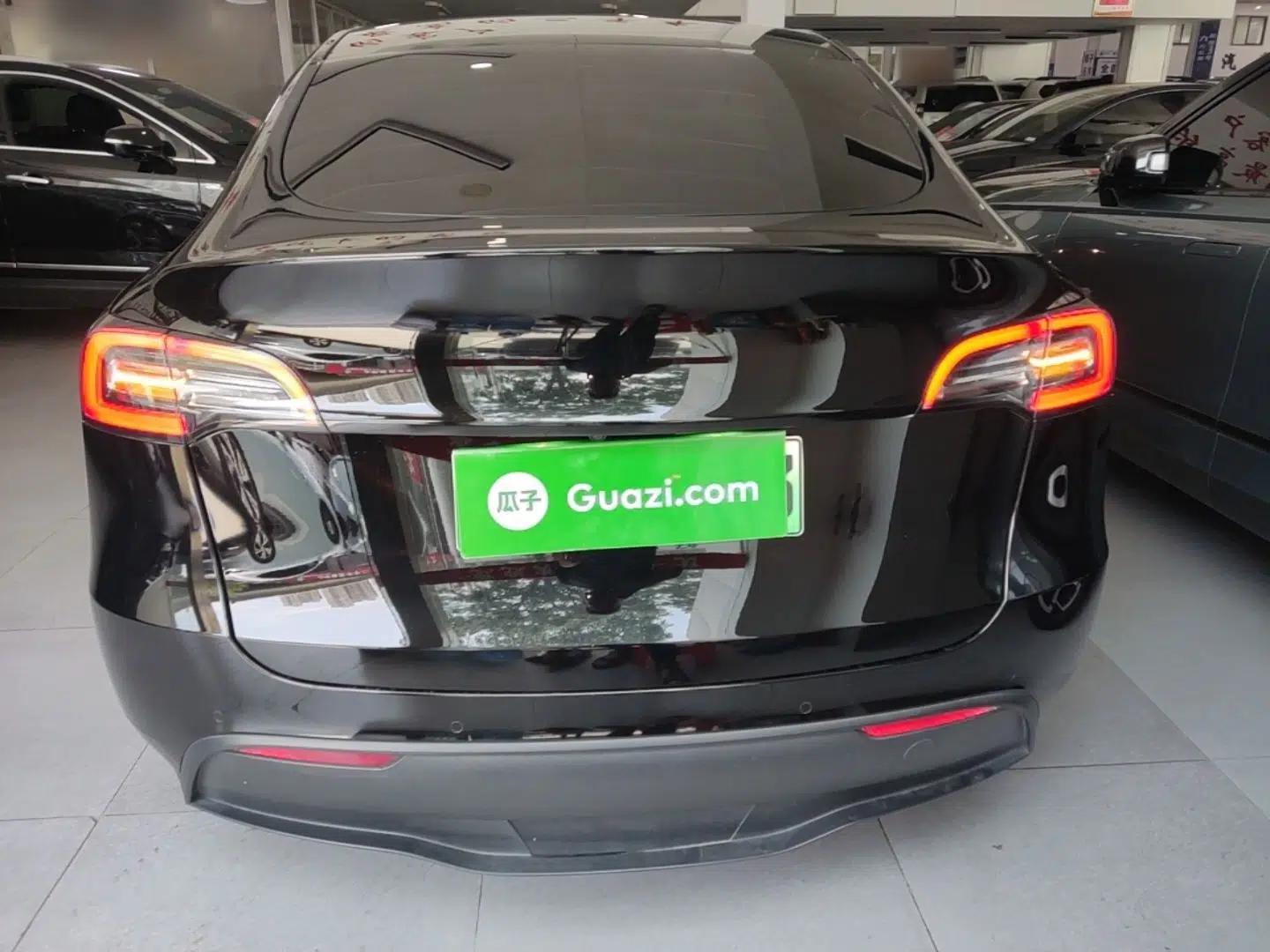 Tesla Model Y 2021 Standard Range Rear-Wheel Drive Version — миниатюра 5