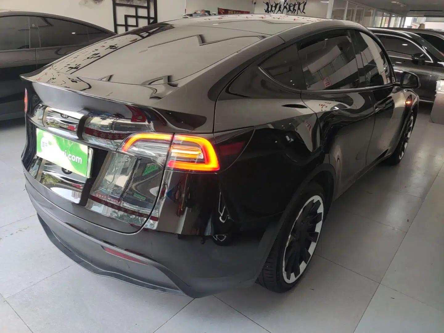 Tesla Model Y 2021 Standard Range Rear-Wheel Drive Version — миниатюра 6