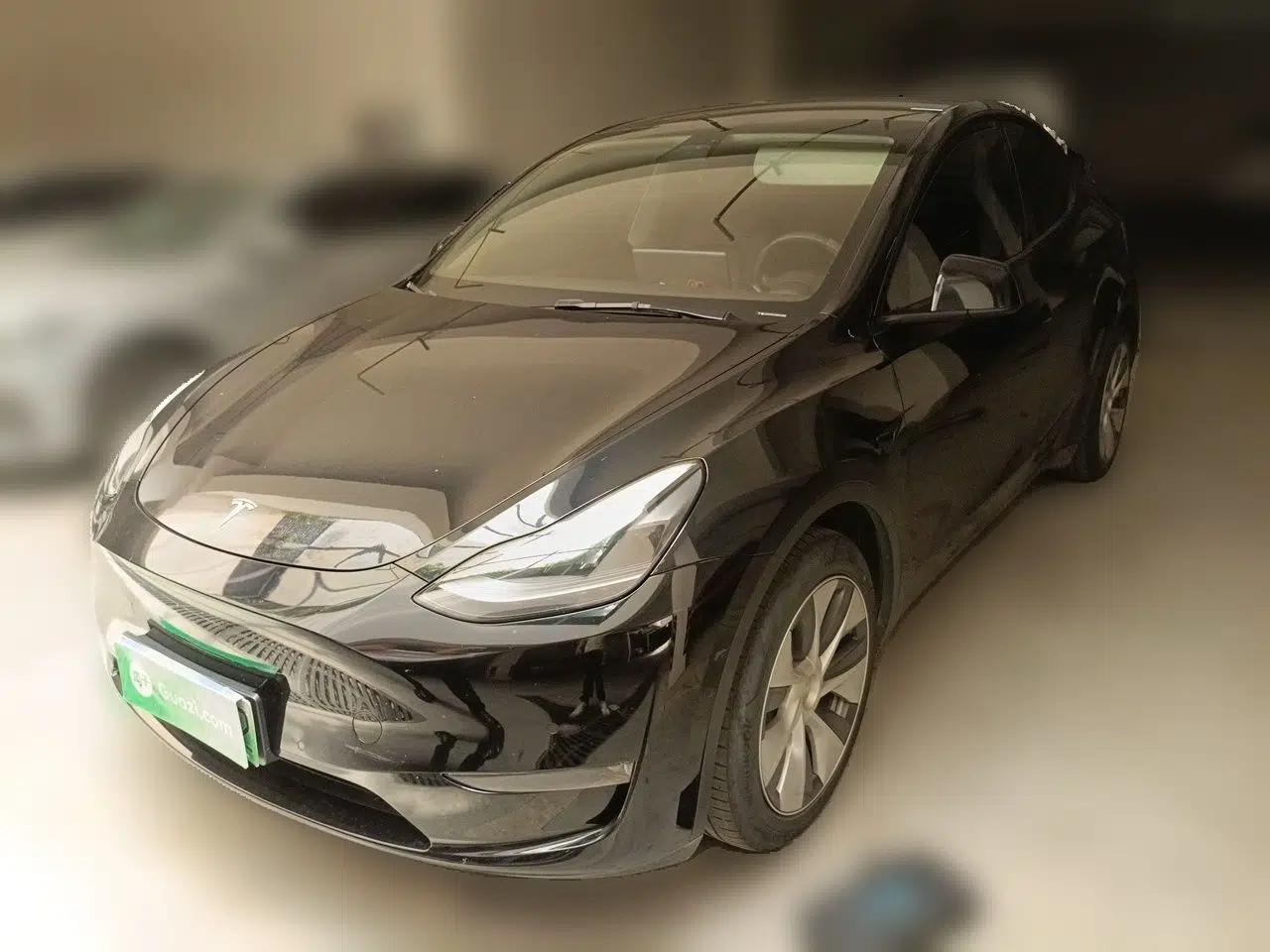 Tesla Model Y 2021 Standard Range Rear-Wheel Drive Version — миниатюра 1