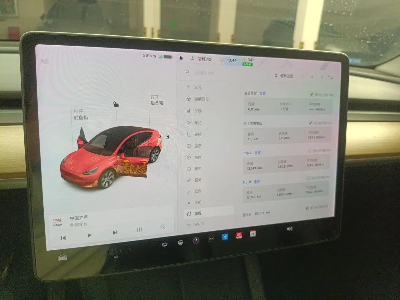 Tesla Model Y 2021 Standard Range Rear-Wheel Drive Version — миниатюра 11