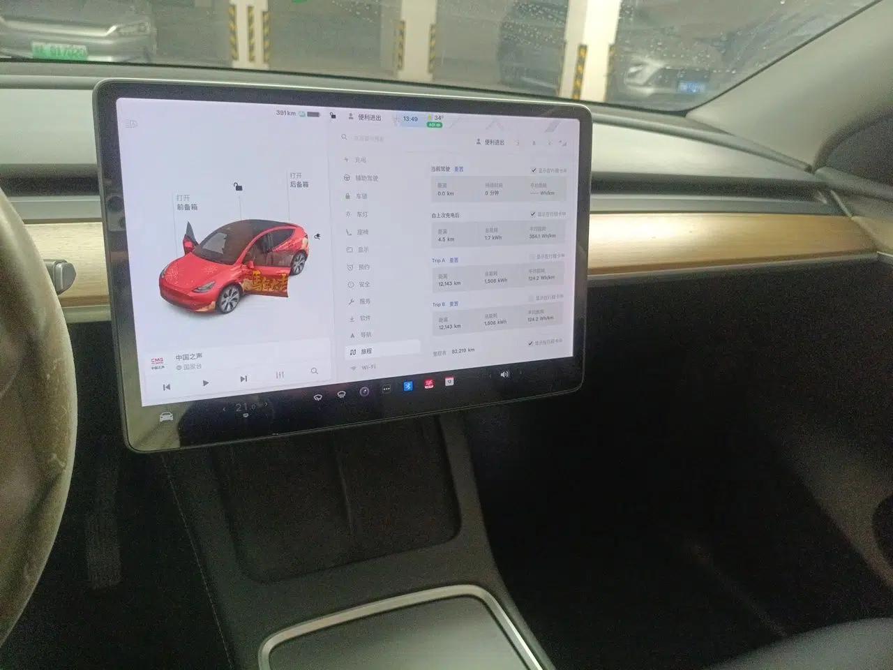 Tesla Model Y 2021 Standard Range Rear-Wheel Drive Version — миниатюра 13