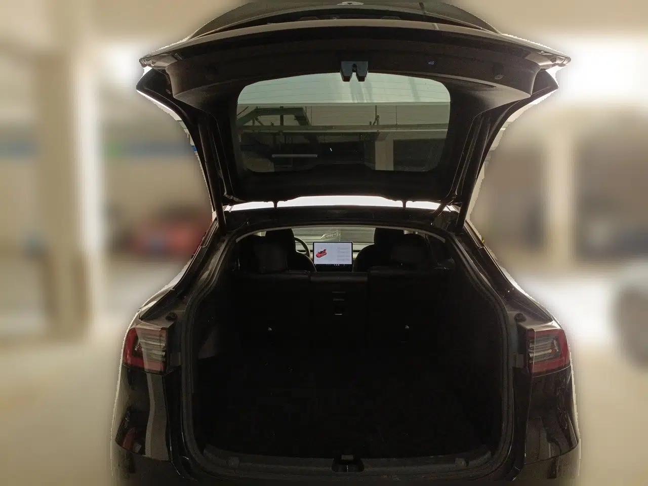 Tesla Model Y 2021 Standard Range Rear-Wheel Drive Version — миниатюра 19