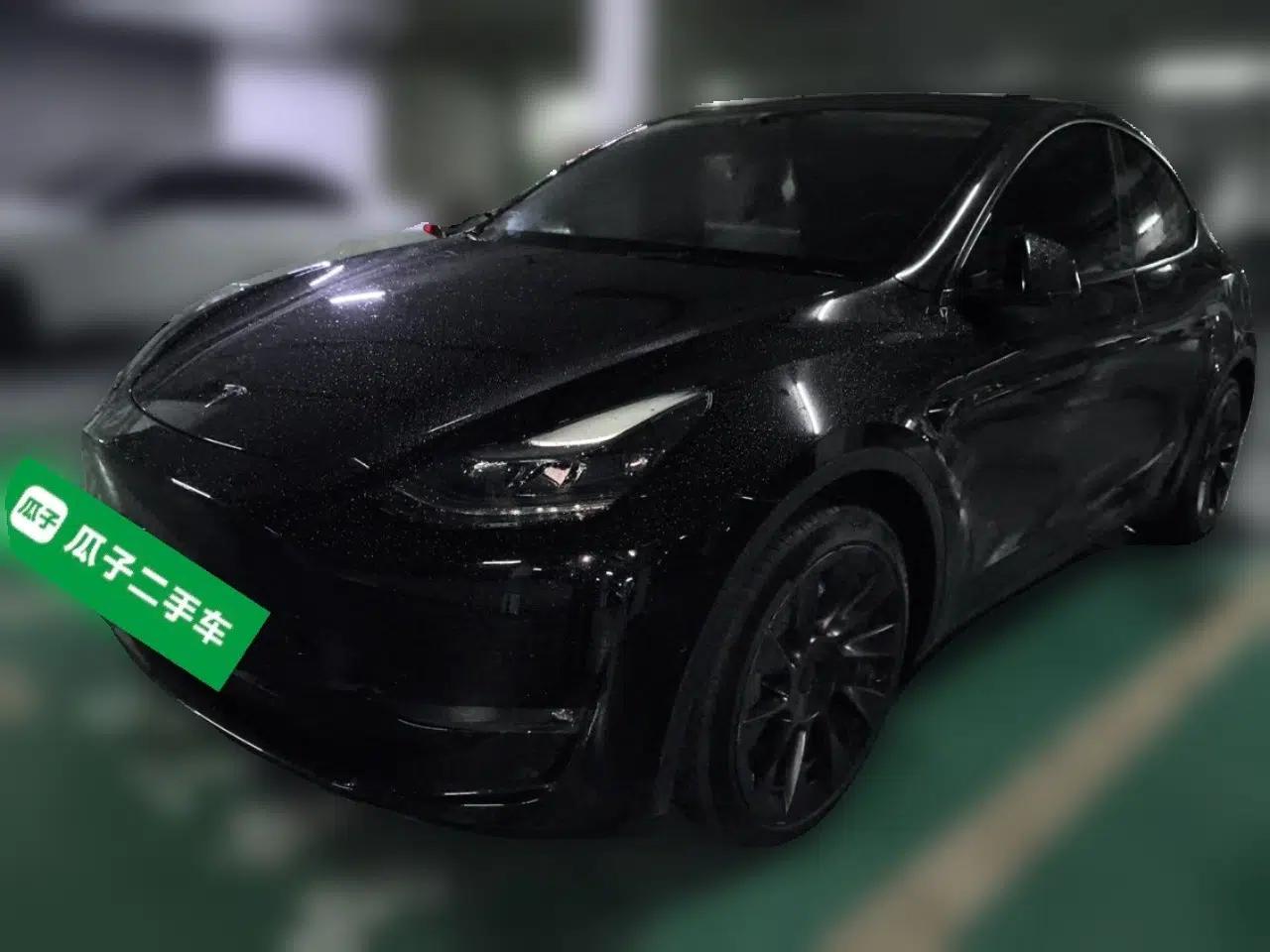 Tesla Model Y 2021 Standard Range Rear-Wheel Drive Version — миниатюра 1