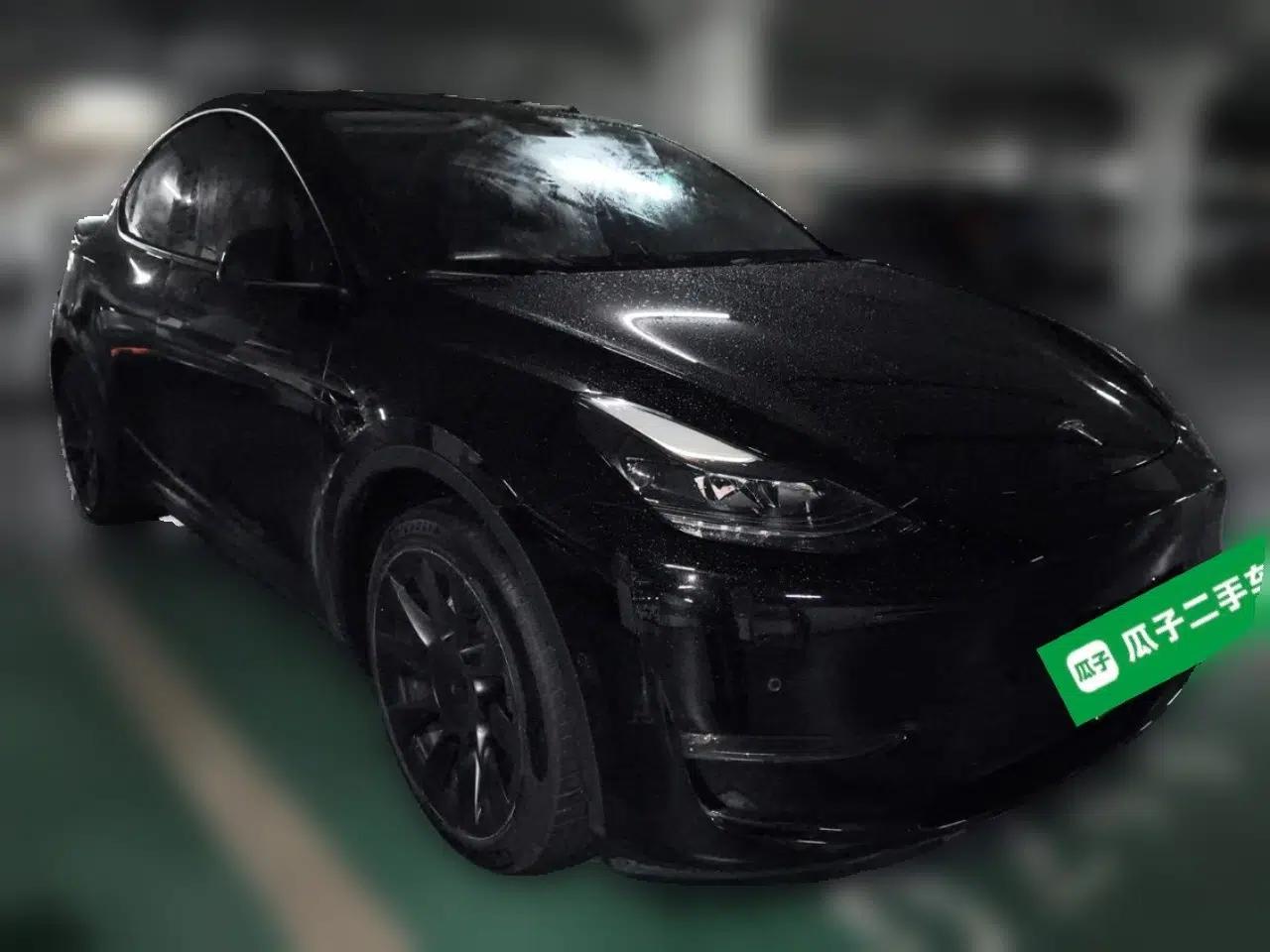 Tesla Model Y 2021 Standard Range Rear-Wheel Drive Version — миниатюра 3