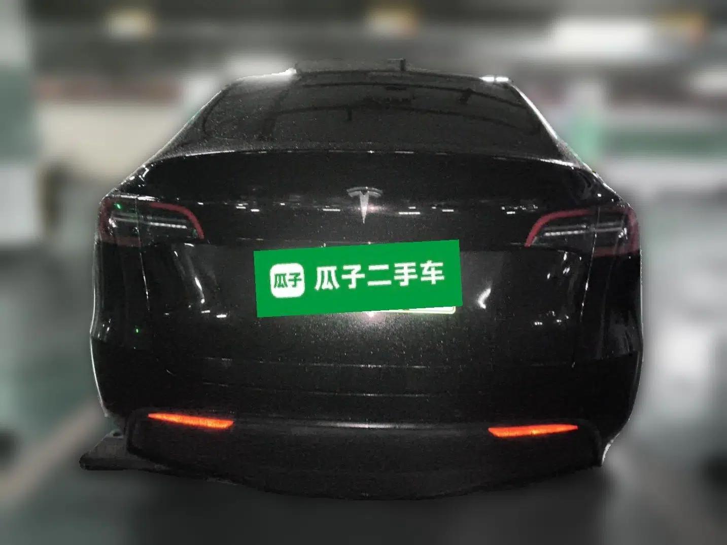 Tesla Model Y 2021 Standard Range Rear-Wheel Drive Version — миниатюра 5