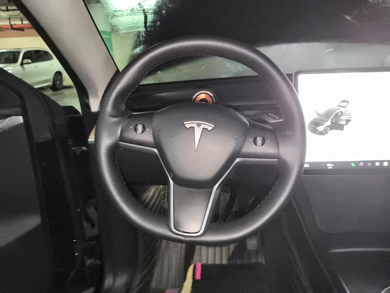 Tesla Model Y 2021 Standard Range Rear-Wheel Drive Version — миниатюра 10