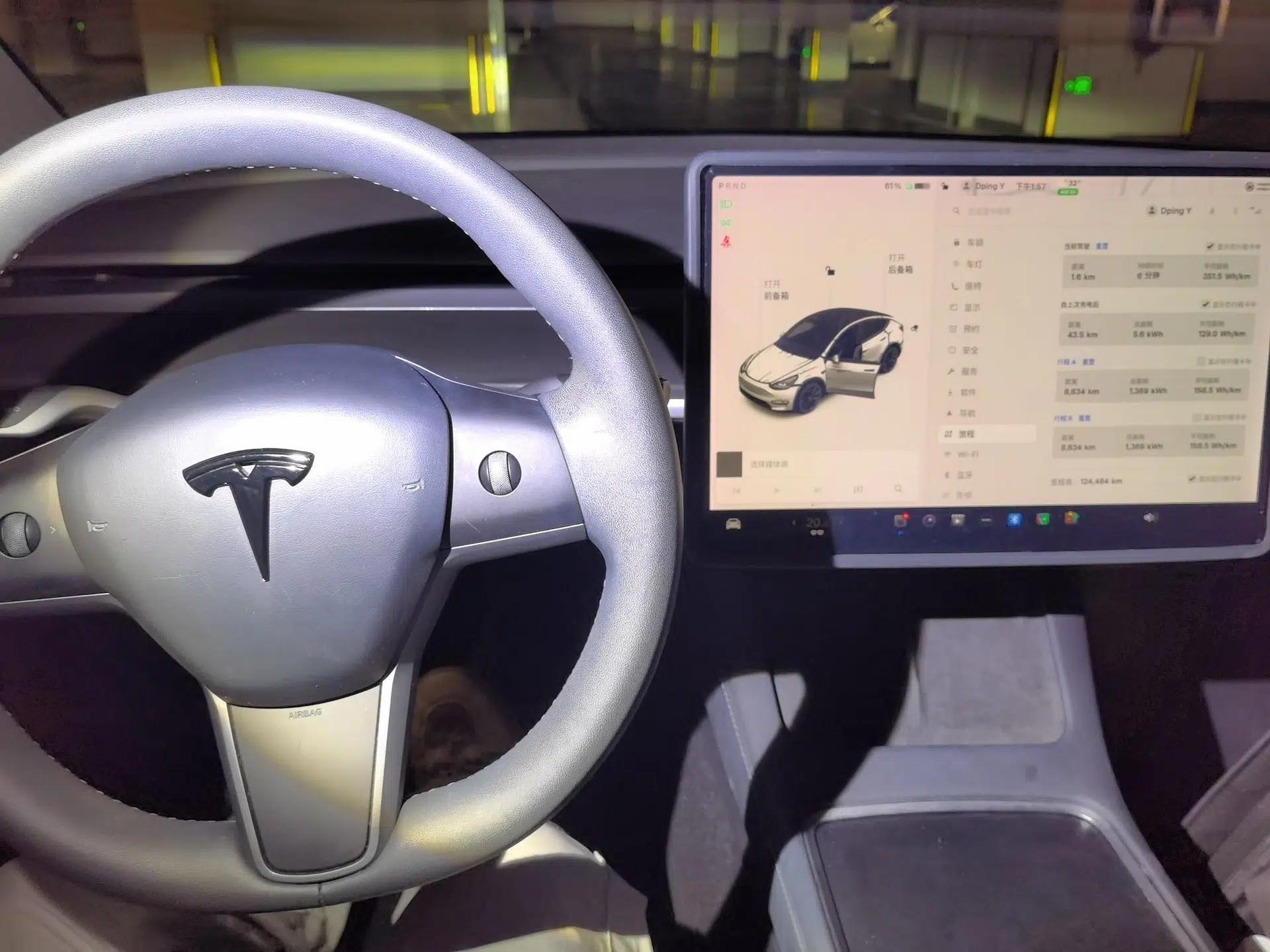 Tesla Model Y 2021 Standard Range Rear-Wheel Drive Version — миниатюра 11
