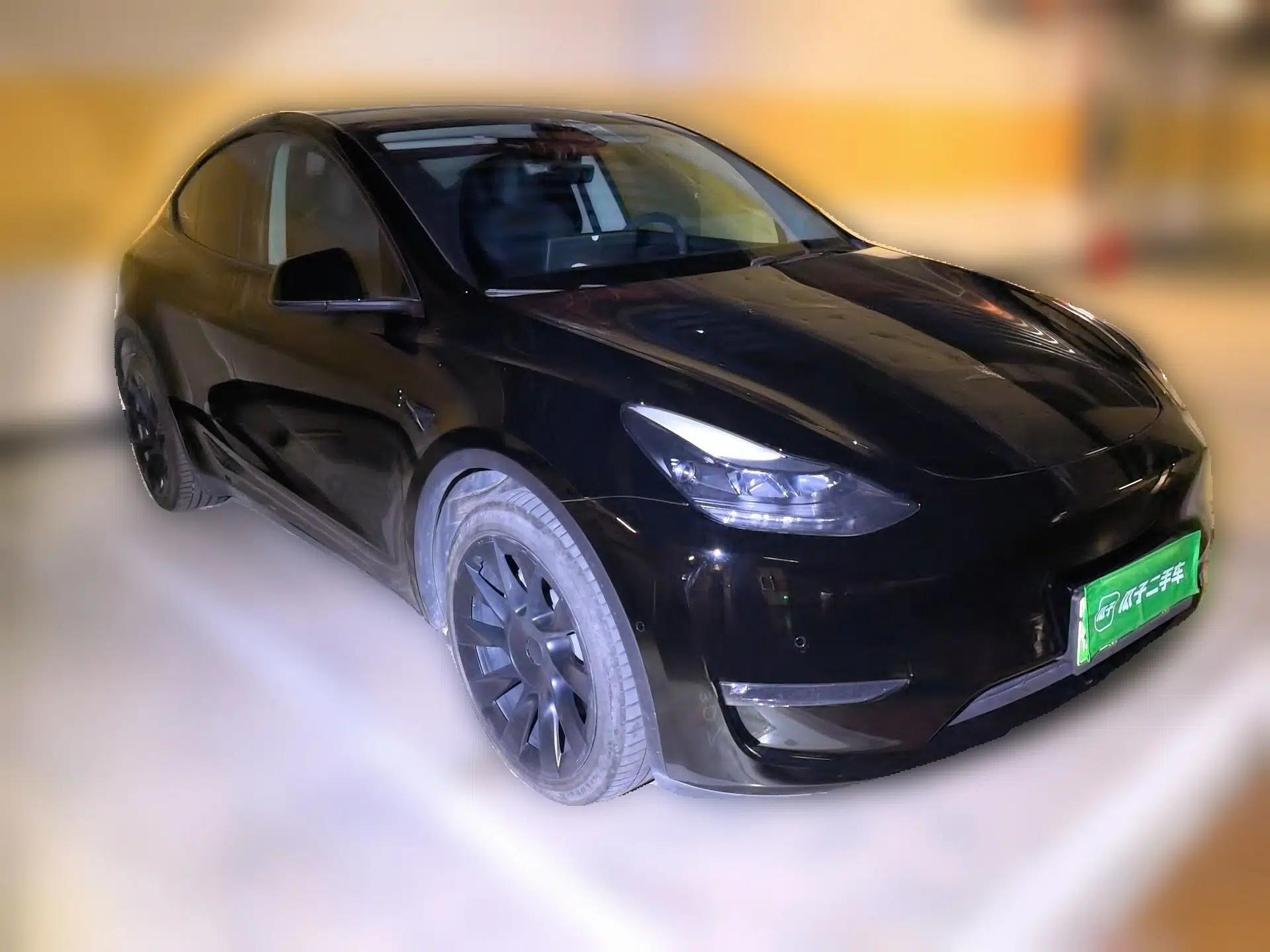 Tesla Model Y 2021 Standard Range Rear-Wheel Drive Version — миниатюра 3