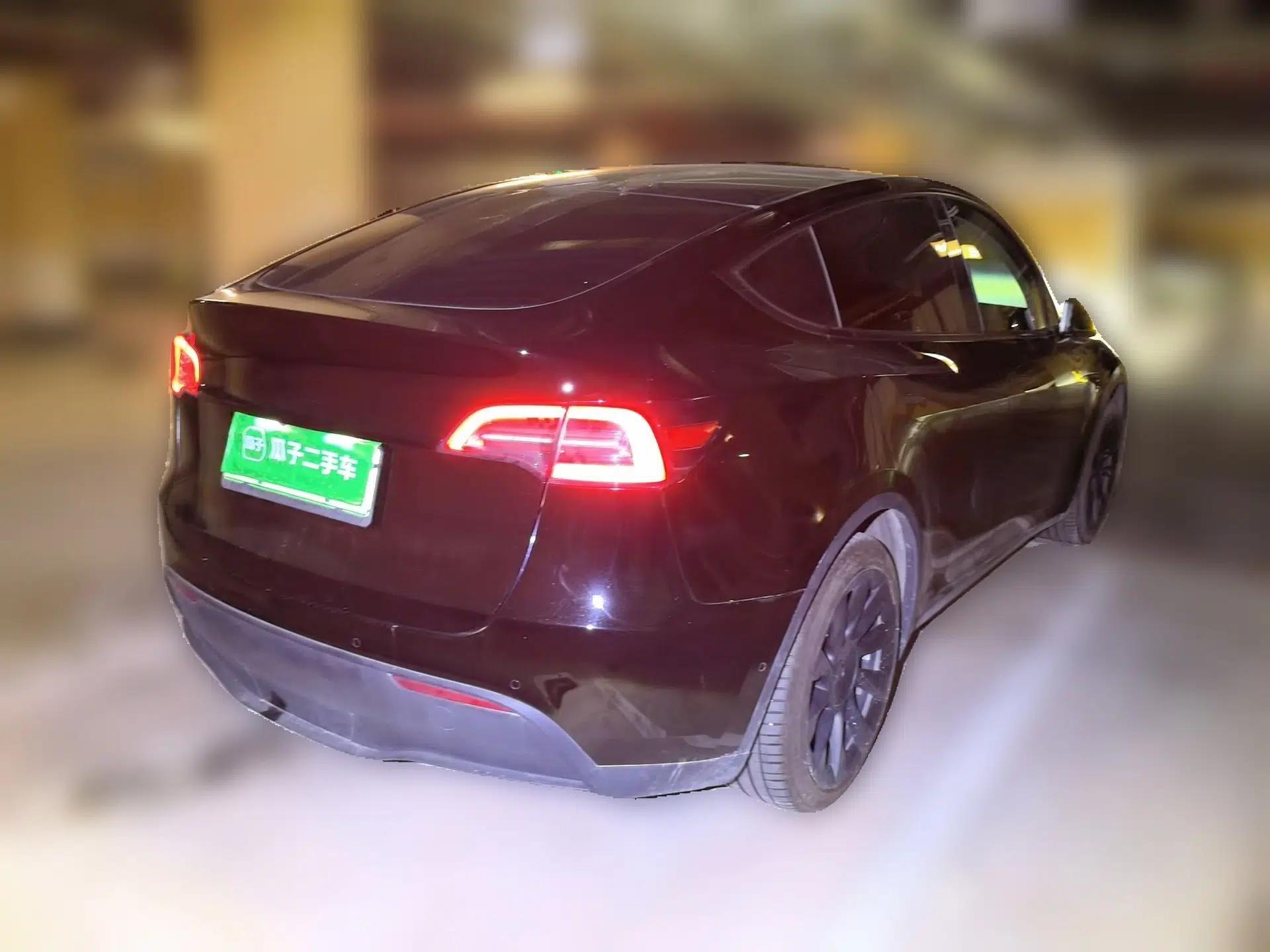 Tesla Model Y 2021 Standard Range Rear-Wheel Drive Version — миниатюра 6