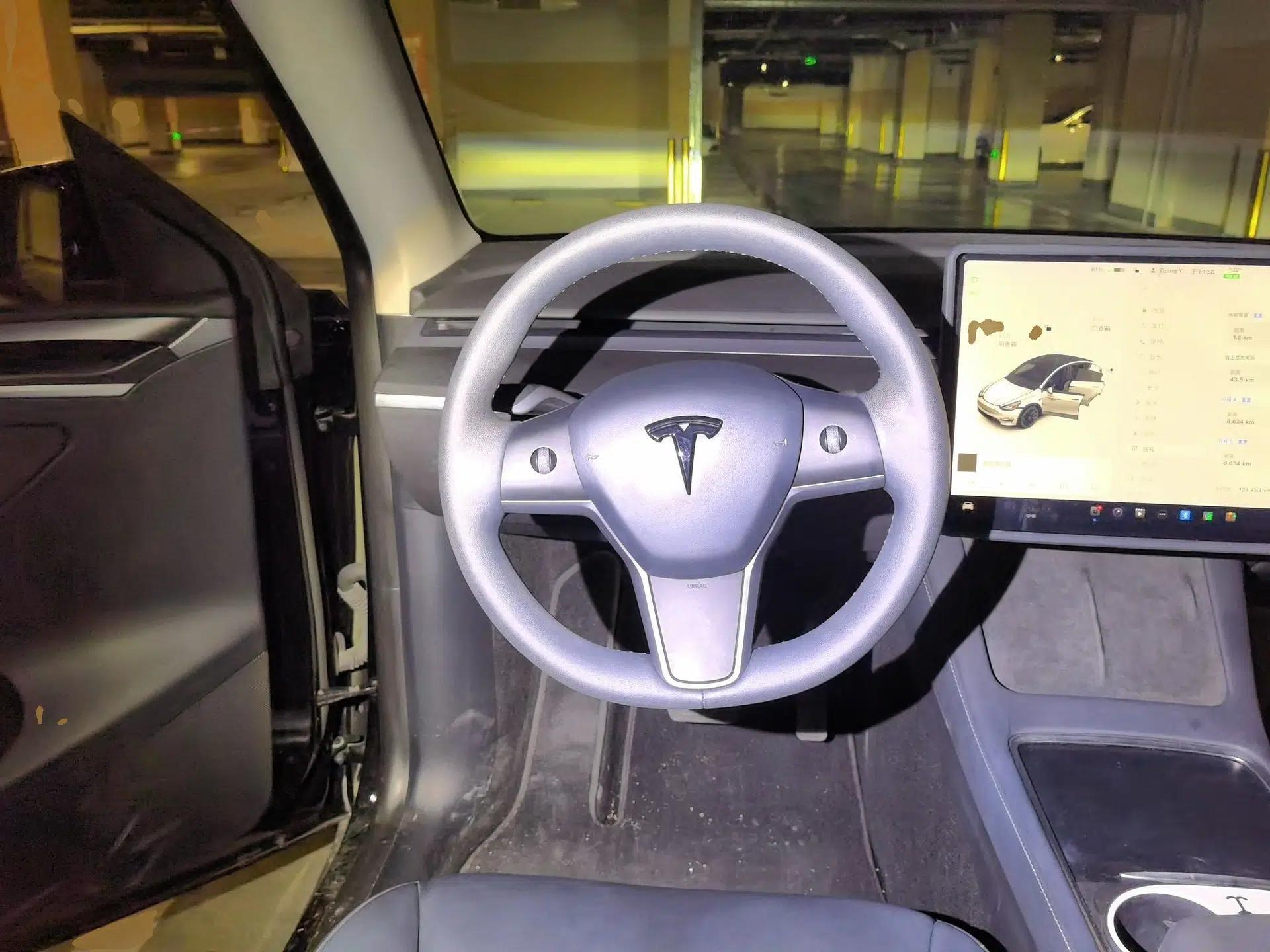 Tesla Model Y 2021 Standard Range Rear-Wheel Drive Version — миниатюра 10