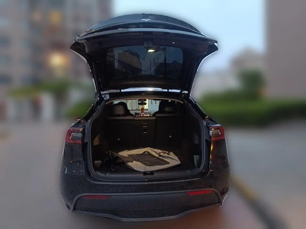 Tesla Model Y 2022 Rear-Wheel-Drive Version — миниатюра 16