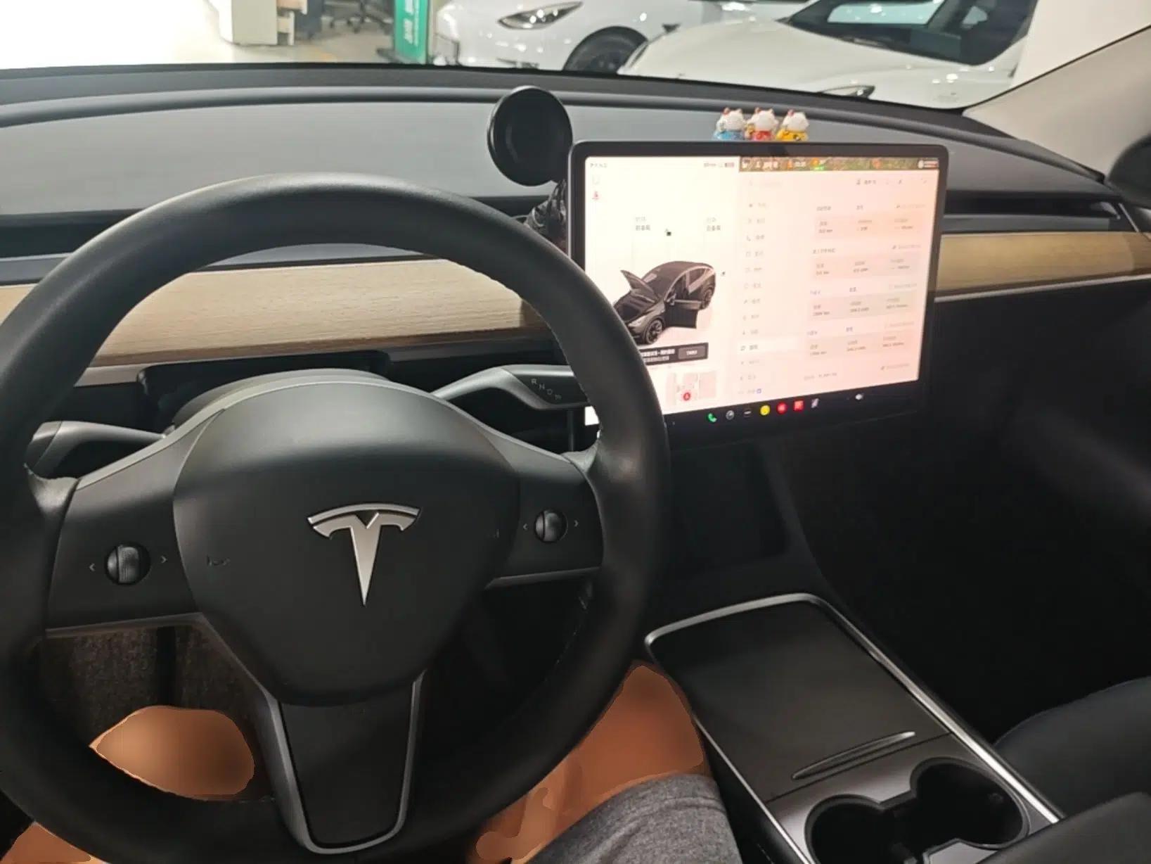 Tesla Model Y 2022 Revised Version Rear-Wheel Drive — миниатюра 12