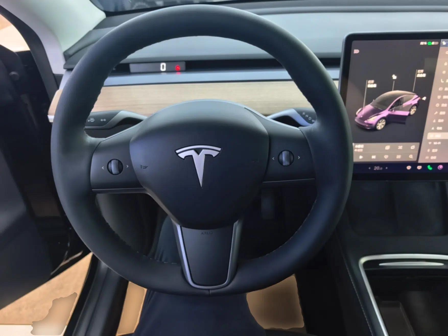 Tesla Model Y 2021 Standard Range Rear-Wheel Drive Version — миниатюра 13