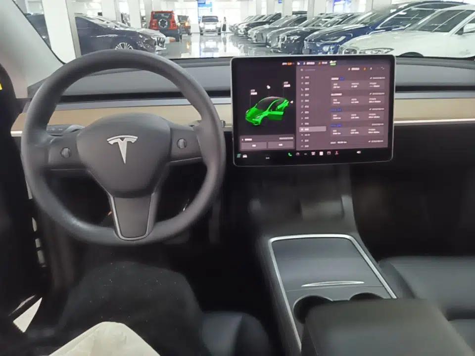 Tesla Model Y 2021 Standard Range Rear-Wheel Drive Version — миниатюра 12
