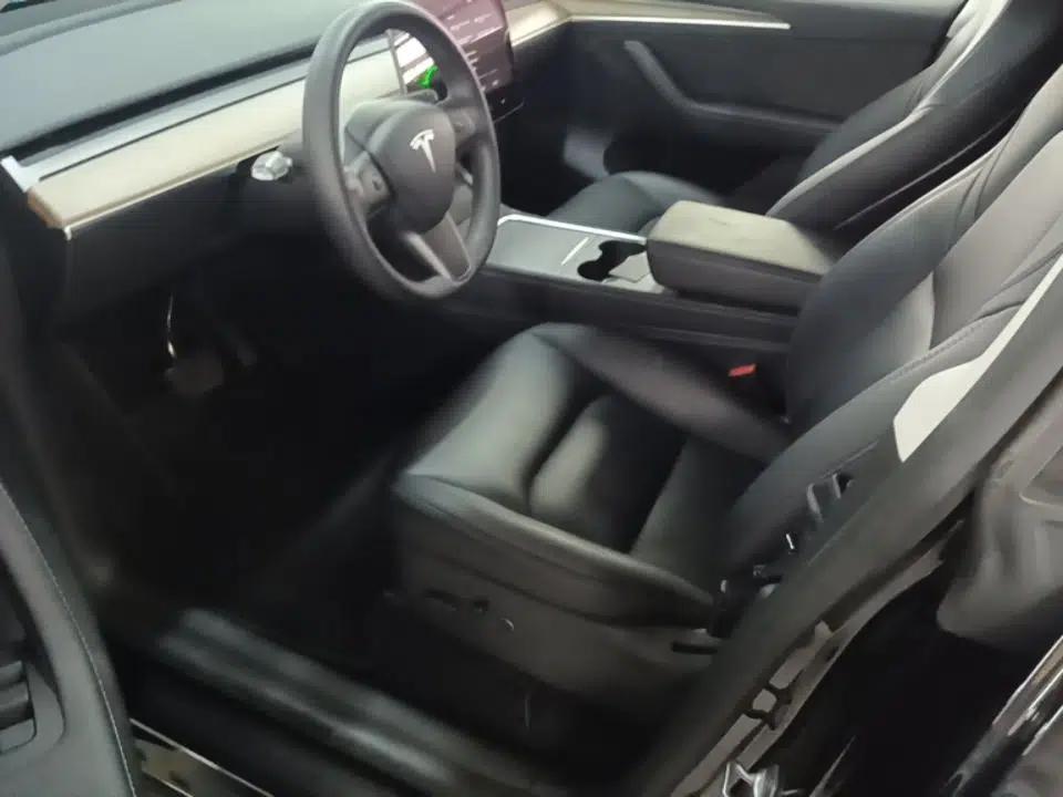 Tesla Model Y 2021 Standard Range Rear-Wheel Drive Version — миниатюра 18