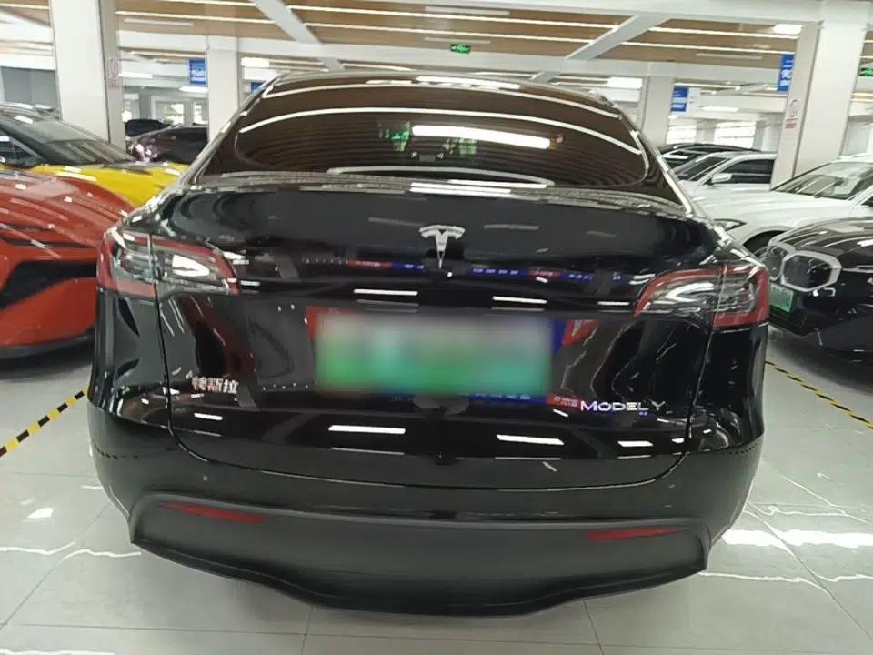 Tesla Model Y 2021 Standard Range Rear-Wheel Drive Version — миниатюра 5