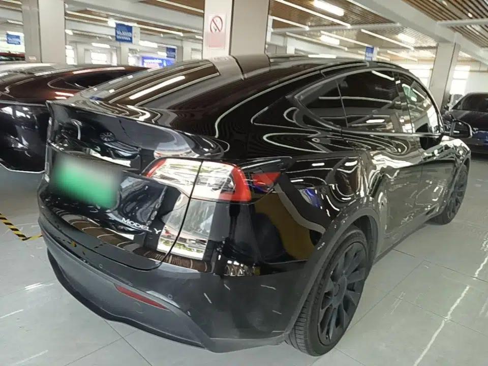 Tesla Model Y 2021 Standard Range Rear-Wheel Drive Version — миниатюра 6