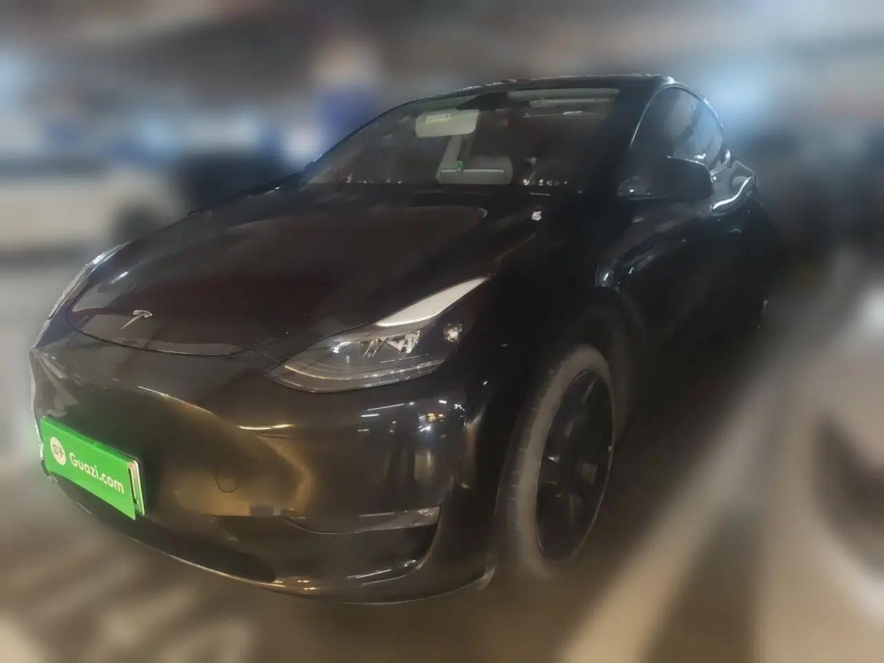 Tesla Model Y 2021 Standard Range Rear-Wheel Drive Version — миниатюра 1