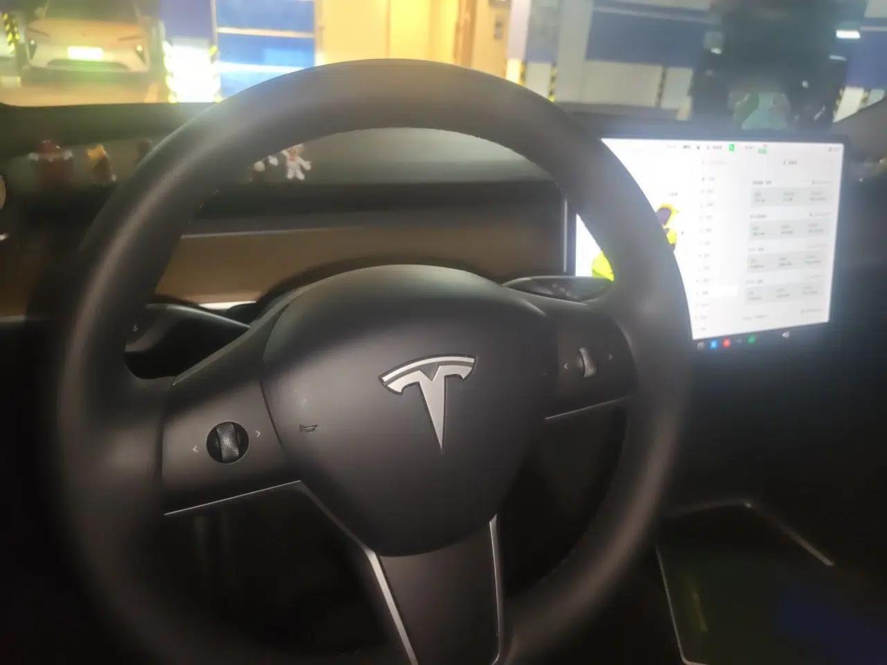 Tesla Model Y 2021 Standard Range Rear-Wheel Drive Version — миниатюра 11