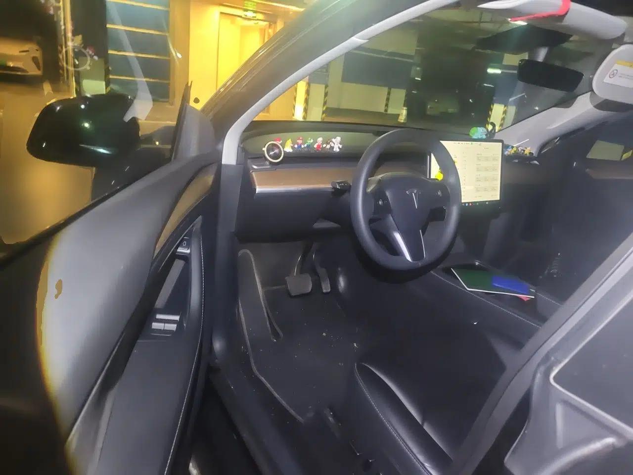 Tesla Model Y 2021 Standard Range Rear-Wheel Drive Version — миниатюра 16