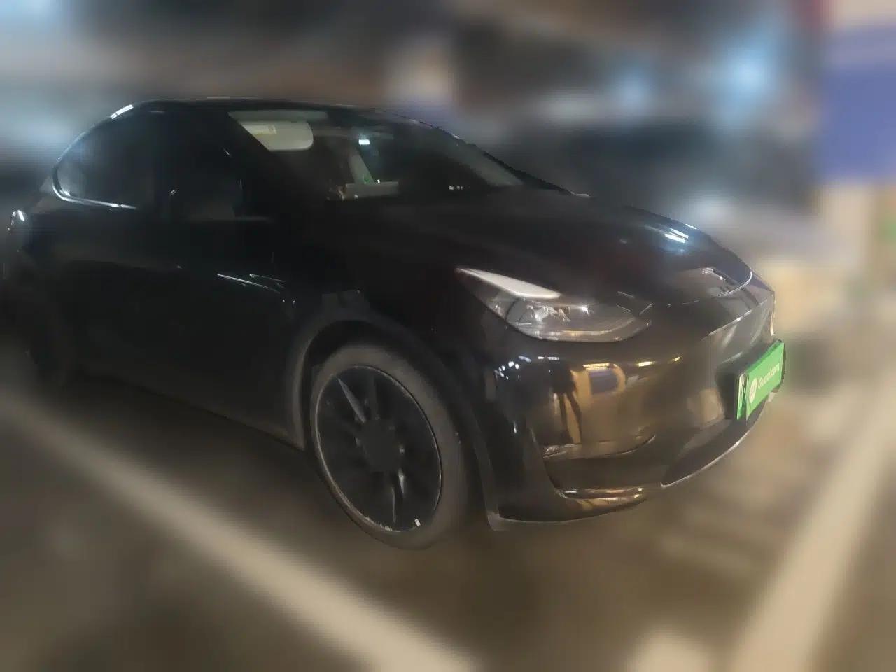 Tesla Model Y 2021 Standard Range Rear-Wheel Drive Version — миниатюра 3