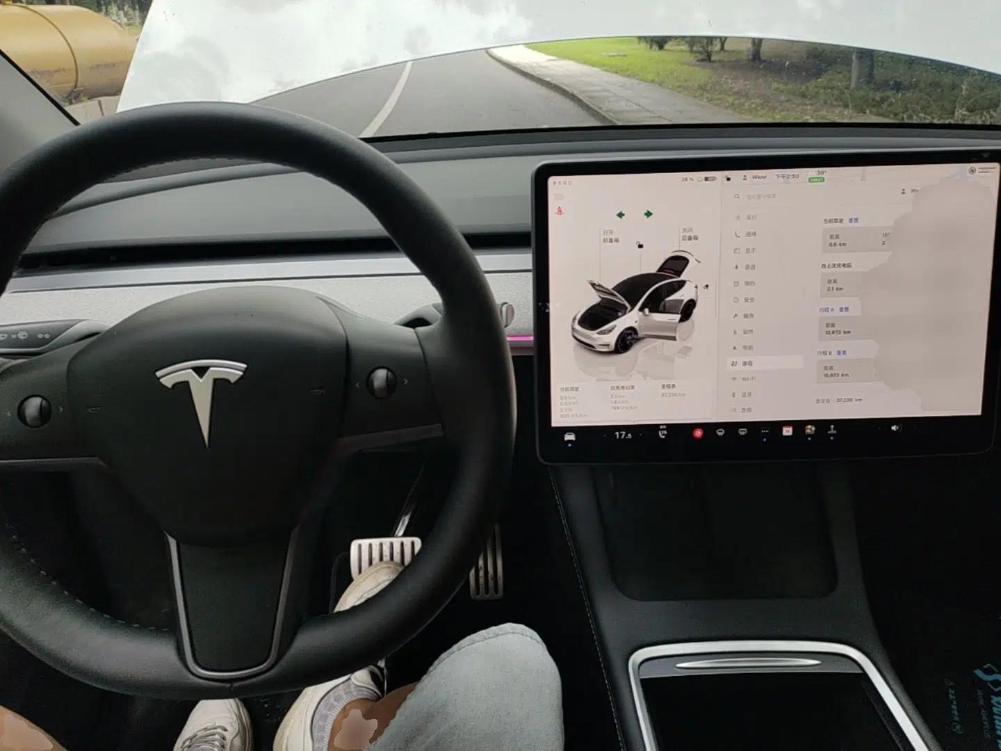 Tesla Model Y 2021 Performance High-Performance All-Wheel-Drive Version — миниатюра 12
