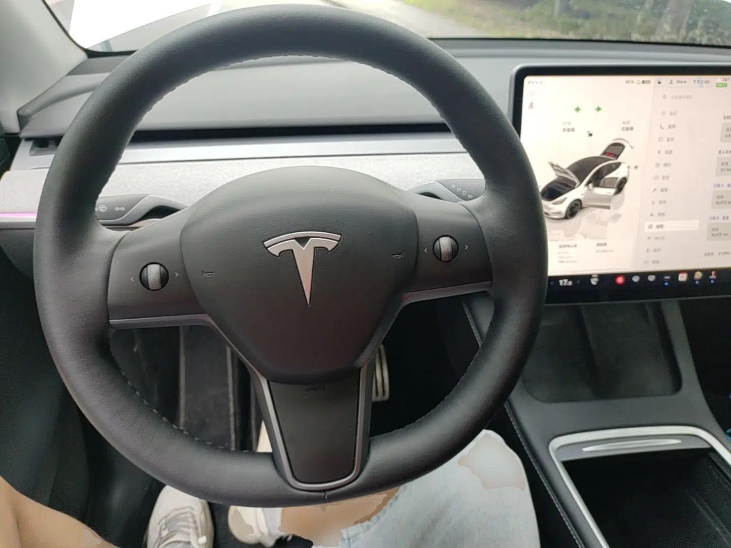 Tesla Model Y 2021 Performance High-Performance All-Wheel-Drive Version — миниатюра 13