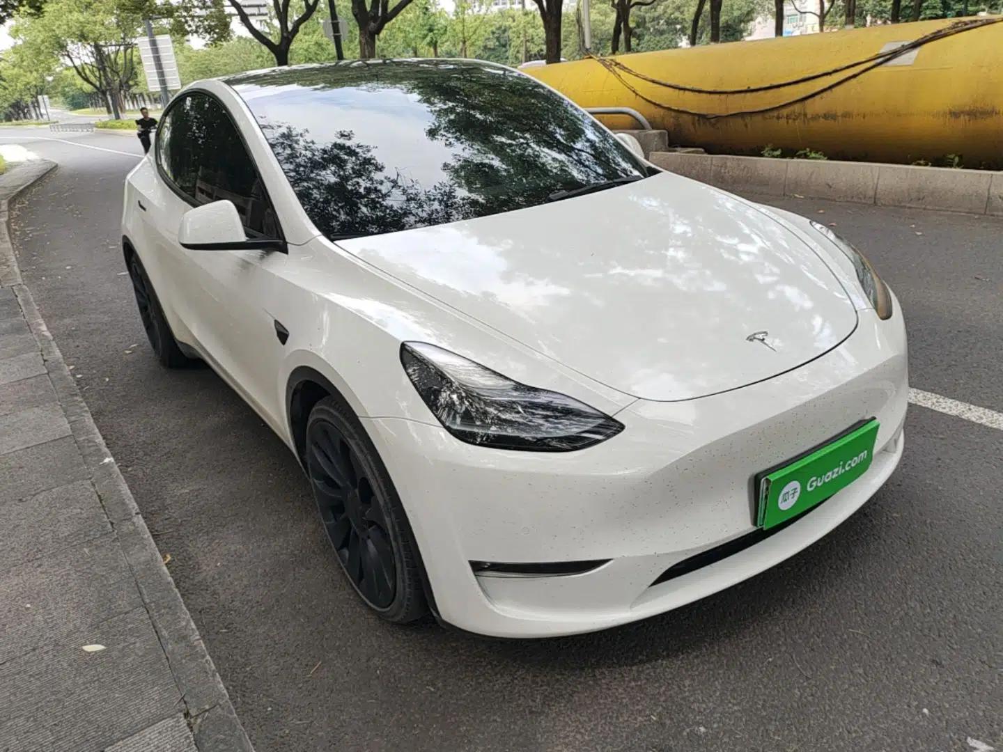 Tesla Model Y 2021 Performance High-Performance All-Wheel-Drive Version — миниатюра 3
