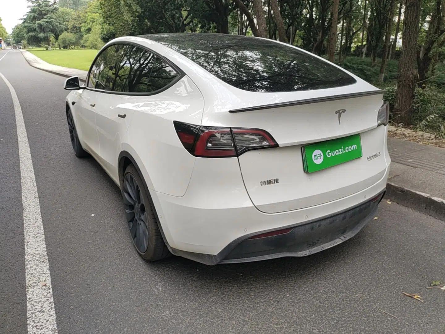 Tesla Model Y 2021 Performance High-Performance All-Wheel-Drive Version — миниатюра 4