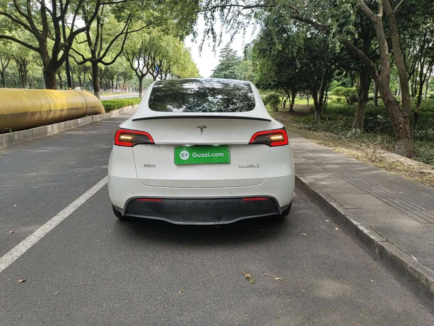 Tesla Model Y 2021 Performance High-Performance All-Wheel-Drive Version — миниатюра 5