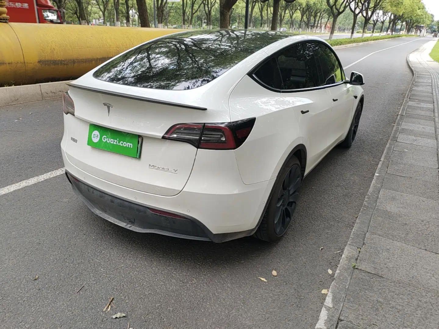 Tesla Model Y 2021 Performance High-Performance All-Wheel-Drive Version — миниатюра 6