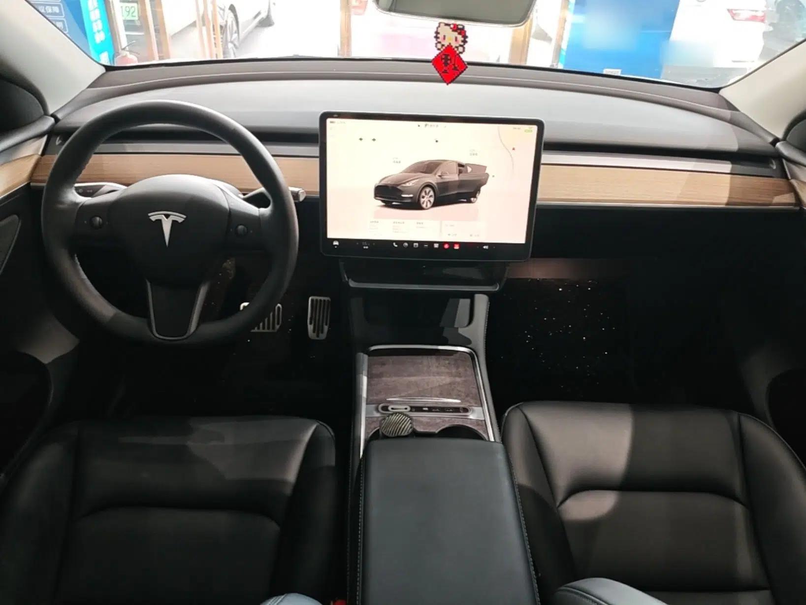 Tesla Model Y 2023 Long-Range All-Wheel-Drive Version — миниатюра 12