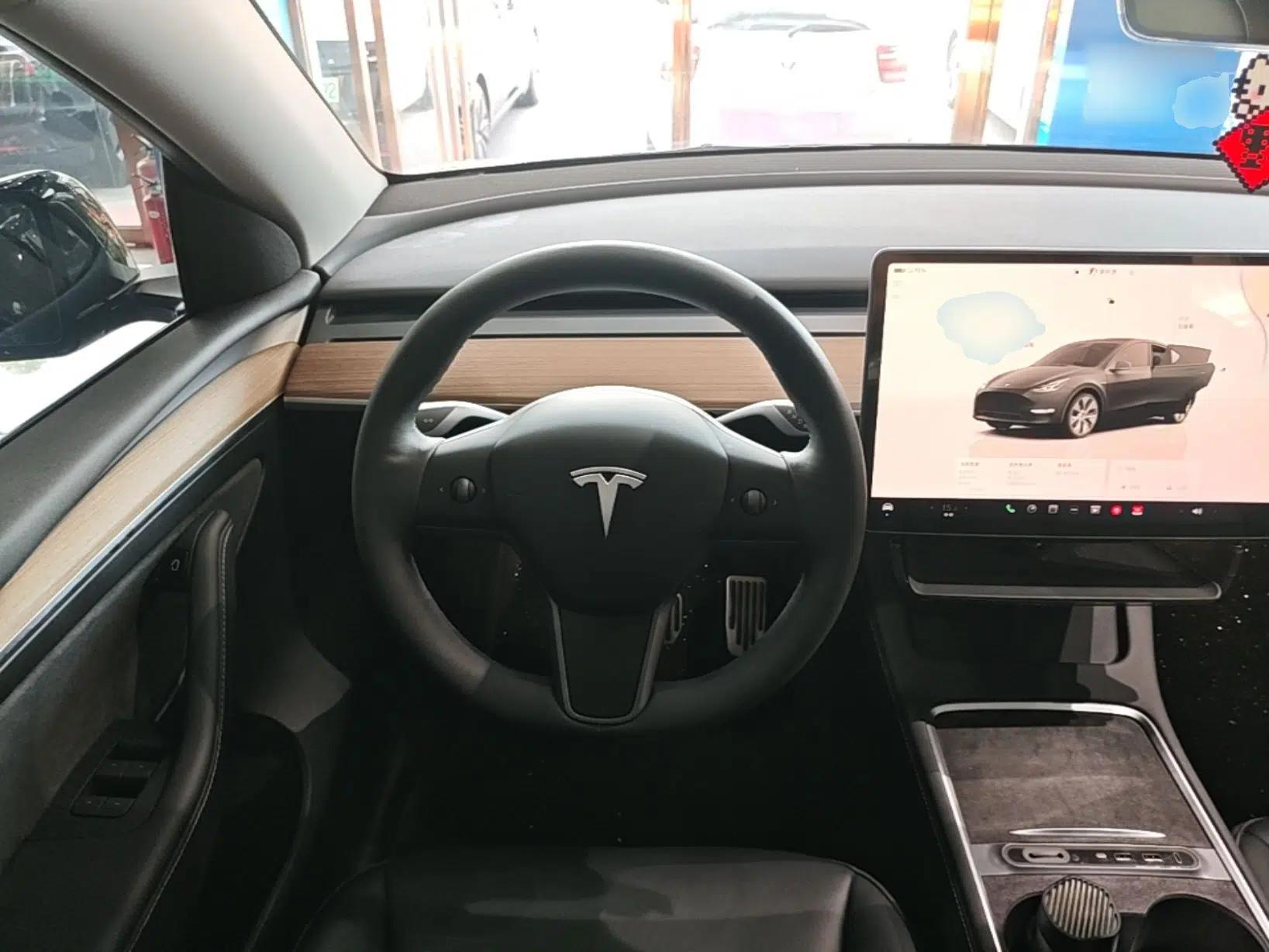 Tesla Model Y 2023 Long-Range All-Wheel-Drive Version — миниатюра 13