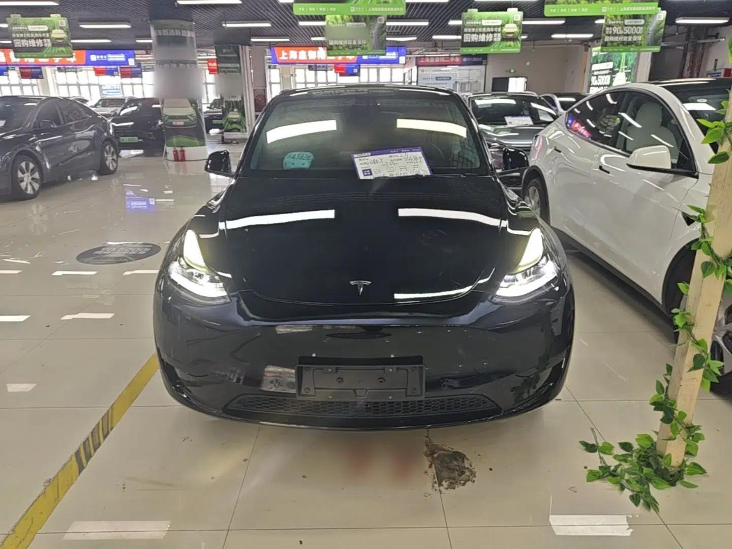 Tesla Model Y 2023 Rear-Wheel-Drive Version — миниатюра 2