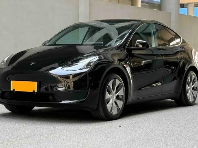 Tesla Model Y 2022 Revised Version Long-Range All-Wheel Drive