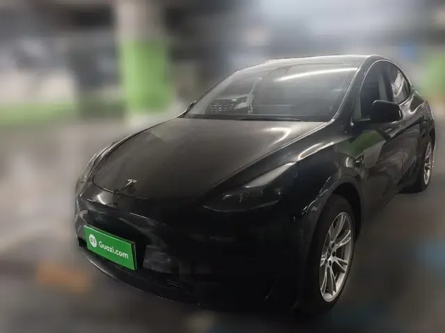 Tesla Model Y 2022 Revised Version Rear-Wheel Drive